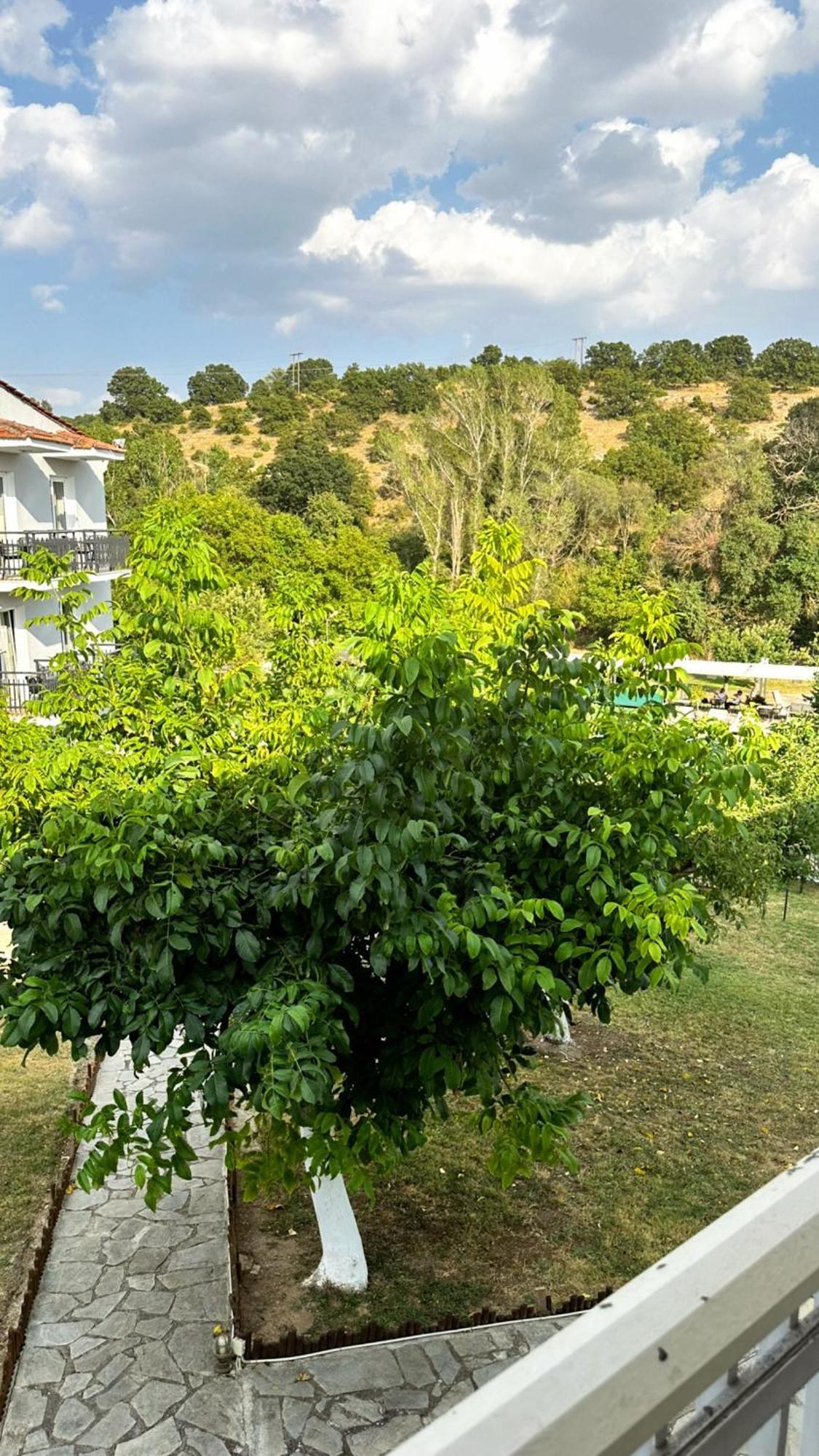 Tselikas Hotel Kozani Kamer foto